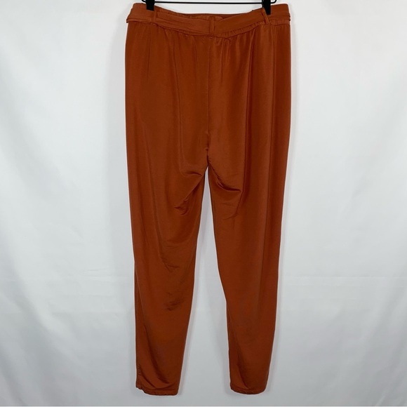 Garnet Hill Women's Easy Knit Terry Pants M Rust Belted Pleated Office Career - Picture 7 of 12